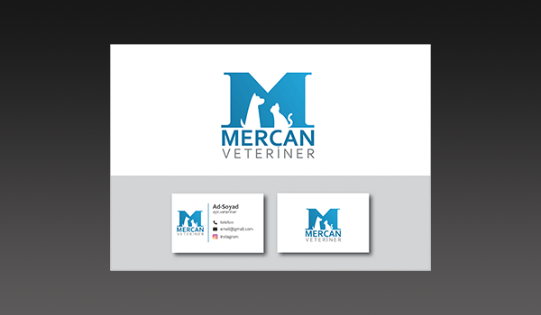web-tasarim